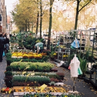 Flower Vendors, Delft Netherlands